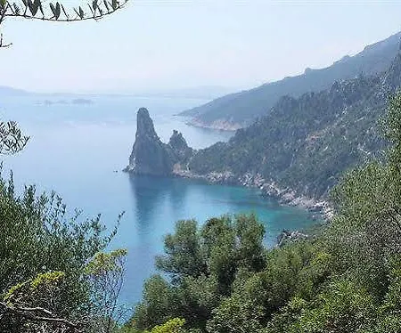 Mediterraneo Hotel