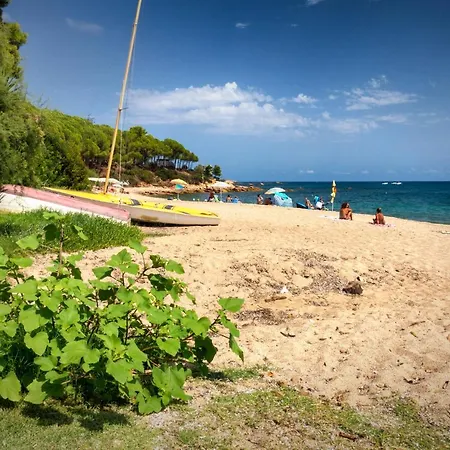 Mediterraneo