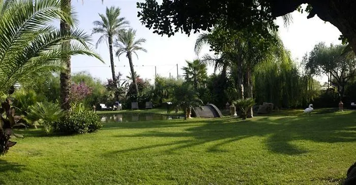 Hotel Mediterraneo 3*