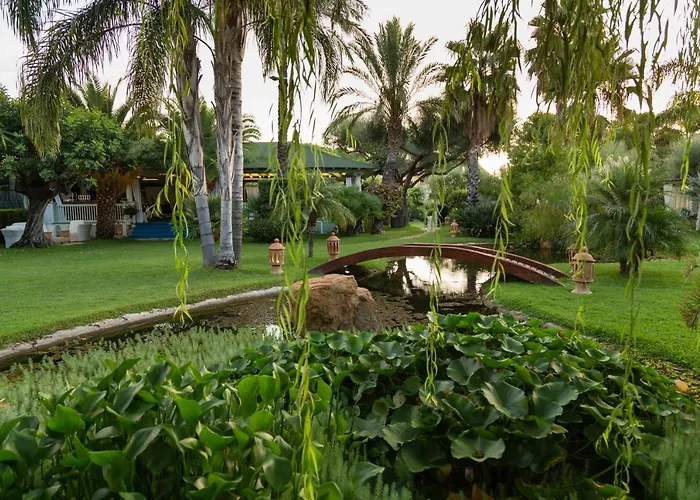 Mediterraneo Hotel 3*